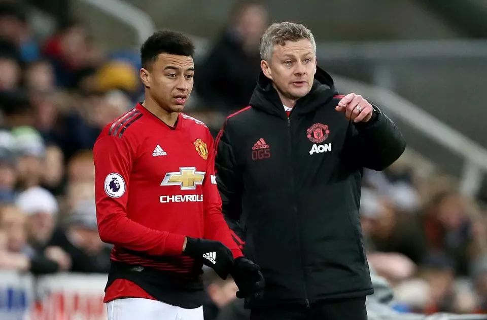 添了更多期 添了更多期